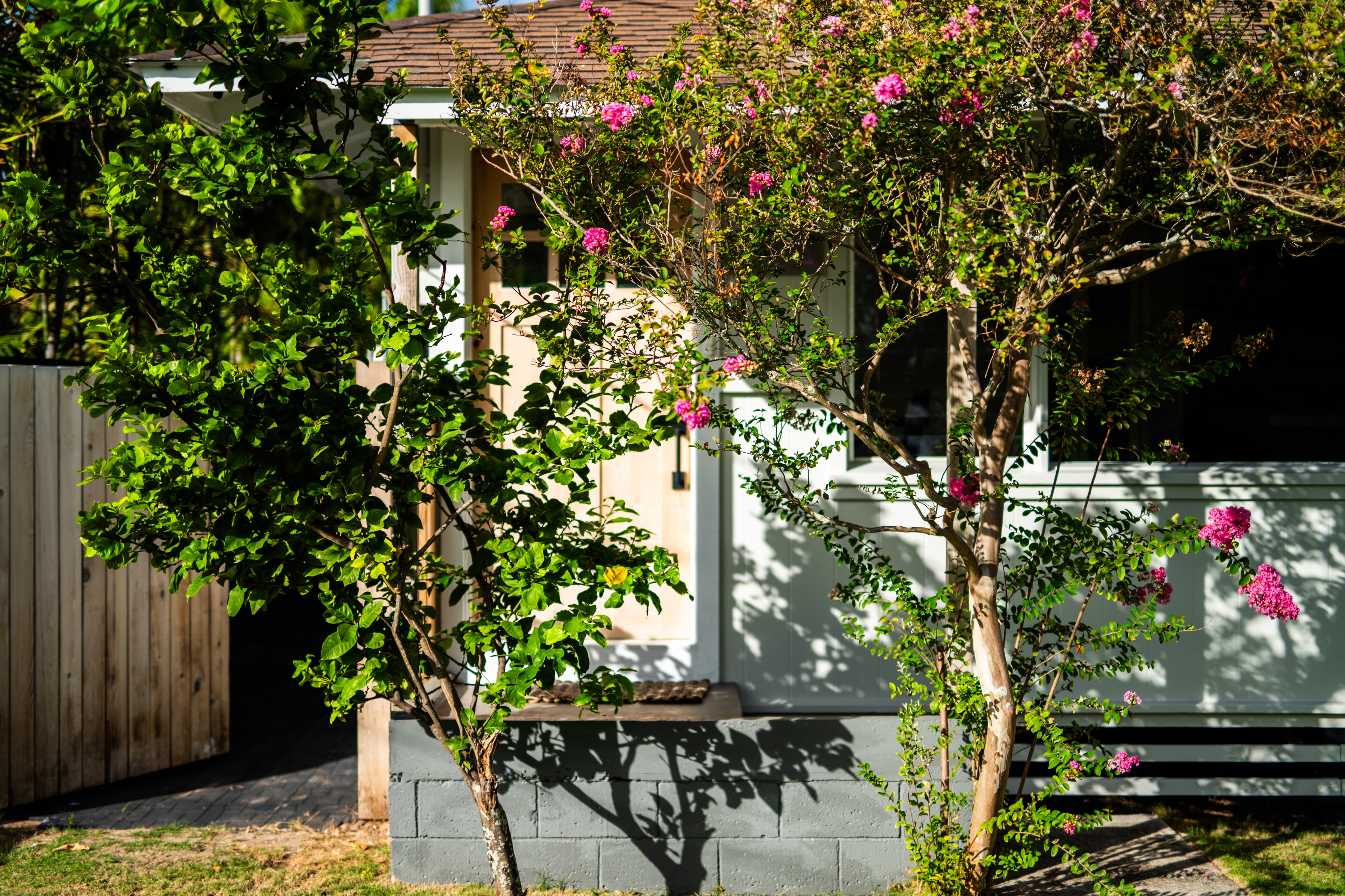 Front entry framed by crape myrtle trees in full bloom — natural wood door and garden path